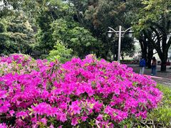 -西湖公园(鼓楼区)