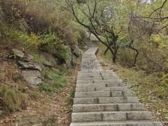 -金龙寺国家森林公园