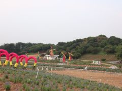 -松山湖梦幻百花洲