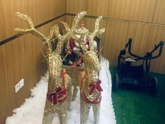 -蝶舍·MAISON PAPILLON