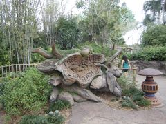 -奥兰多迪士尼动物王国乐园