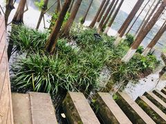 -重庆彩云湖湿地公园