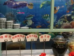 水产区-老碗餐饮(前进路店)