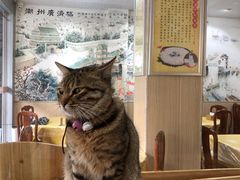 -官塘陈记鱼生·潮汕砂锅粥·牛肉火锅(潮枫路总店)