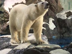 -中国移动(望京营业厅)