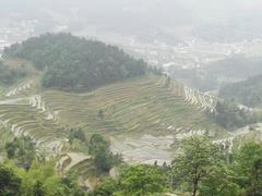 -紫鹊界梯田景区