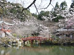 -醍醐寺
