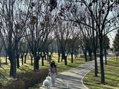 -洨河生态公园