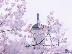 -西安青龙寺遗址景区