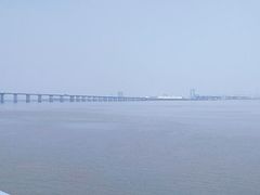 -大湾区中央湿地公园