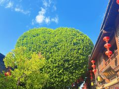 -三坊七巷历史文化街区