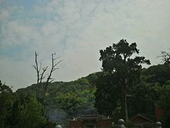 阴那山灵光寺-灵光寺