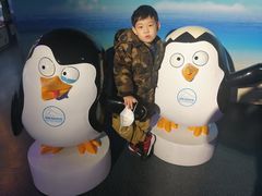 -成都浩海立方海洋公园