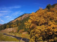 -渔公馆·川菜馆·家宴·生日宴(大地中央广场店)