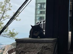 -崂山巨峰游览区