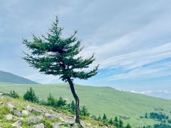 -灵山