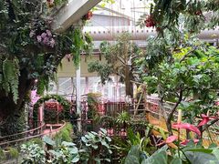 -正佳雨林生态植物园