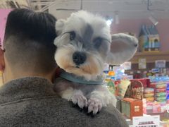 -FAELING PETS美天灵宠物(富力广场店)