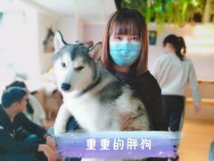 -Husky Go! 哈士奇体验馆·宠物咖啡厅狗咖