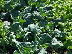 -驿舍·民國老营房院子私房菜(科学会堂店)