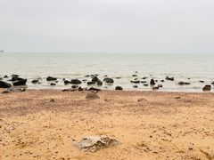 -深圳湾公园(南山区)
