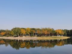 -大兴滨河森林公园