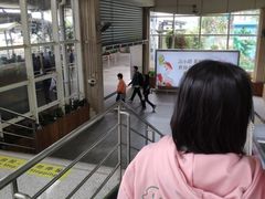 -厦门邮轮中心厦鼓码头(轮渡站)