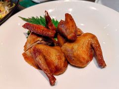 -望乡楼上海菜(日月光店)