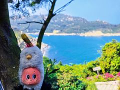 -东澳岛