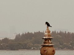 -西湖游船