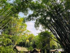 -成都杜甫草堂博物馆