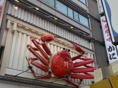 -蟹道乐(道顿堀本店)