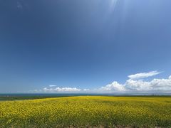 -青海湖国家重点风景名胜区