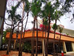-深圳威尼斯英迪格酒店-邻芙花廊下午茶·NINFA GALLERY·蛋糕·咖啡