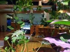 -柴务处·柴犬主题狗咖