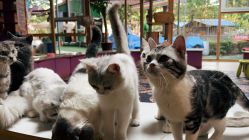 -萌宠亲子动物乐园(槐房万达店)