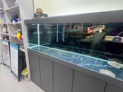 -天宠宠物医院24小时·急重症诊疗中心·全科·腔镜特色(和平分院)