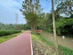 -桤木河湿地公园