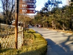 -北京植物园-展览温室