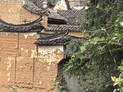 -杨家堂村