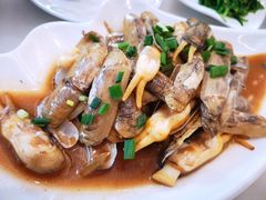 蛏子-华盛丰温州大排档(东三环南路店)