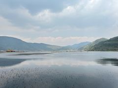 -腾冲北海湿地