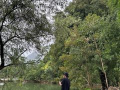 -靖西鹅泉风景区