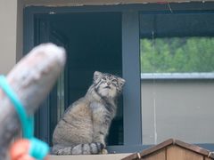 -青藏高原野生动物园