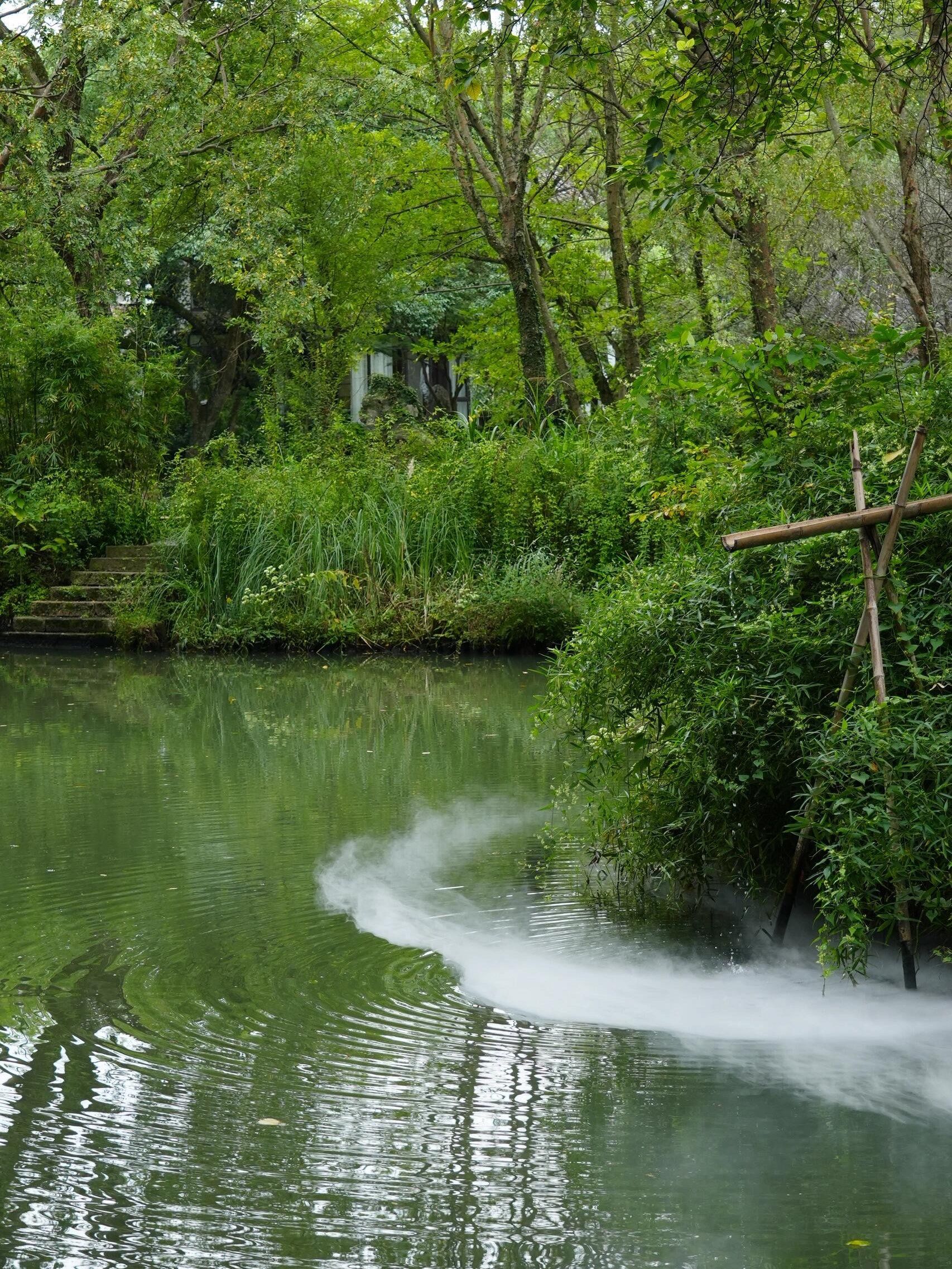 🆓西溪湿地免费攻略