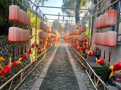 -楠溪江风景名胜区