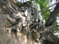 -小洲村