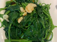 -靓鸽村·老字号食鸽专门店(琶洲店)