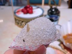 -点都德·毕德寮