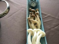 -厦门园林植物园-植物园滴水山房